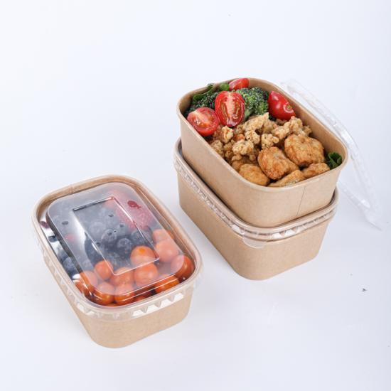 Plastic free paper food containers for salad