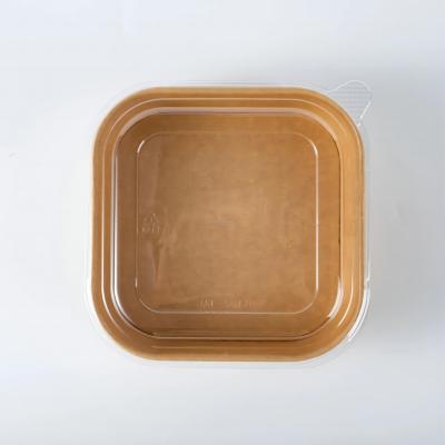 Recipientes de comida cuadrados personalizados que se pueden calentar en microondas